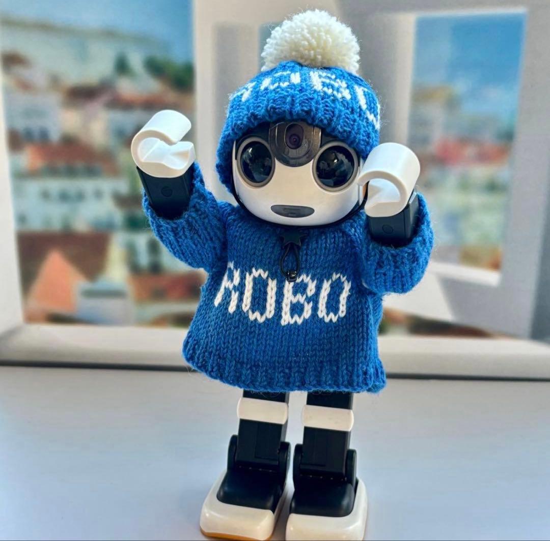 ゴエモン　ニット帽とカーディガンセータROBO＊雪模様カーディガンセーター