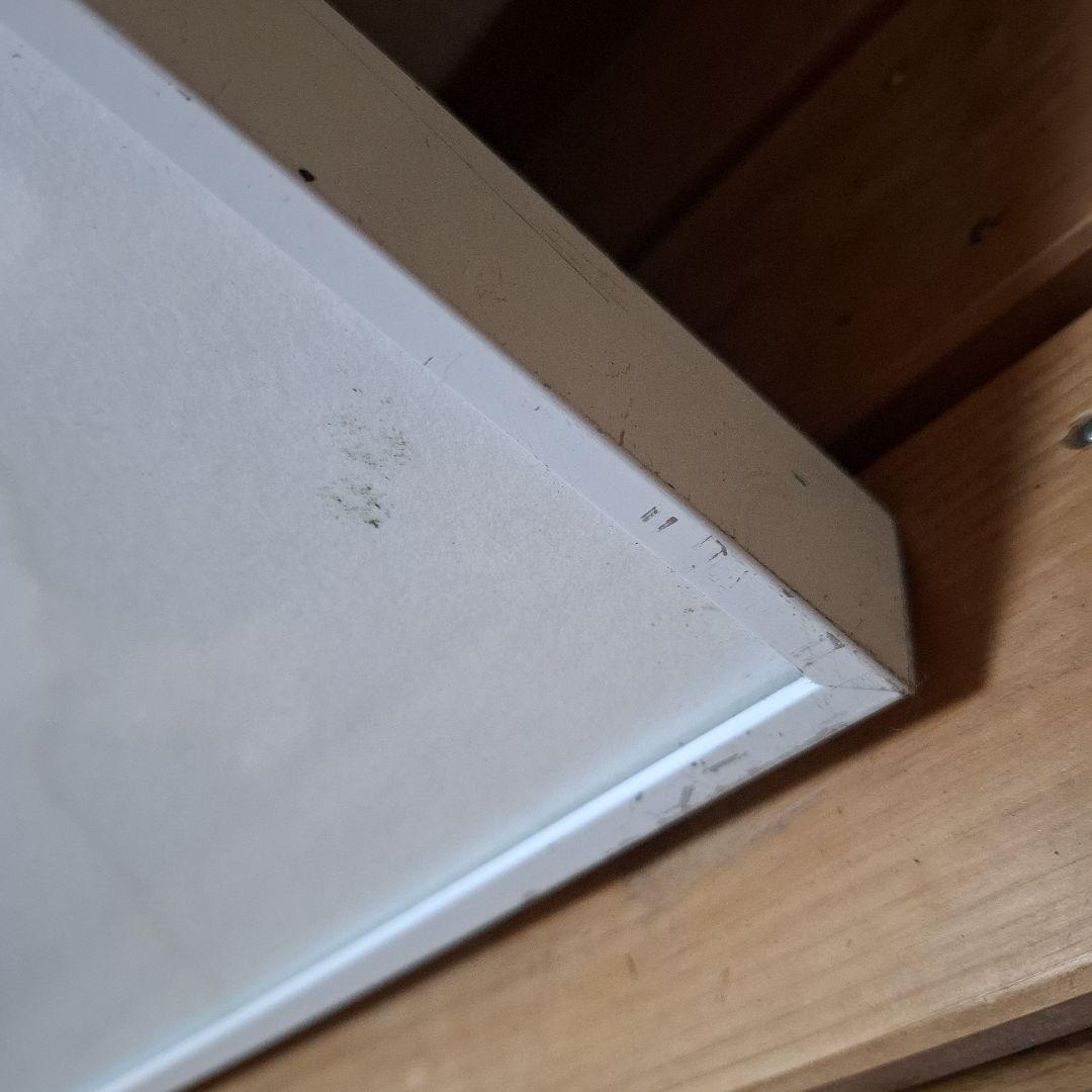 唐 承華　水彩画　額縁サイズ577×716㎝　大きいです