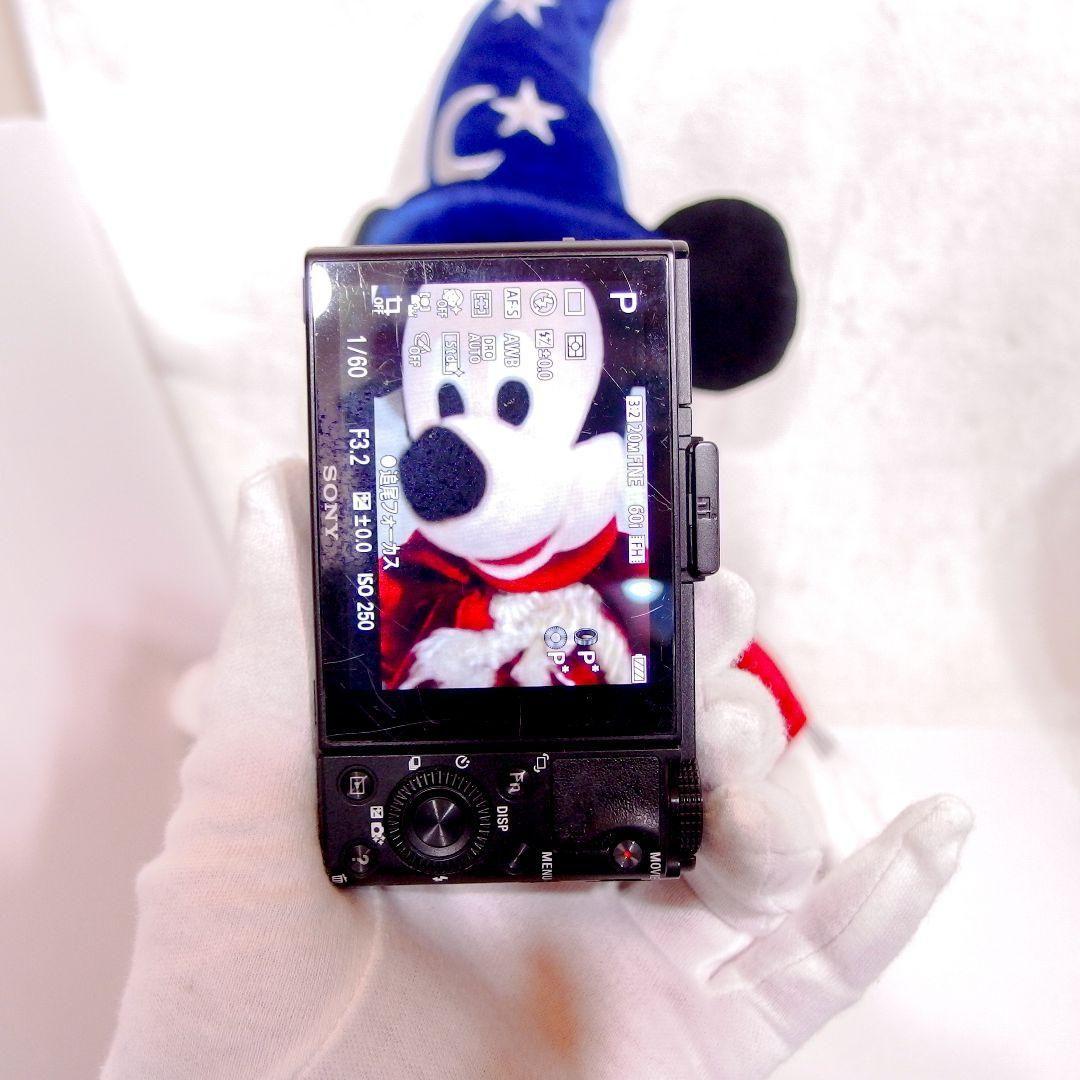 完動美品 ソニー SONY Cyber-Shot DSC-RX100M2 充電器