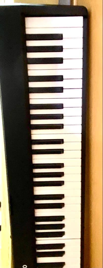 Rose Finch 88鍵盤電子ピアノ 折り畳み式　新品未使用　早い者勝ち