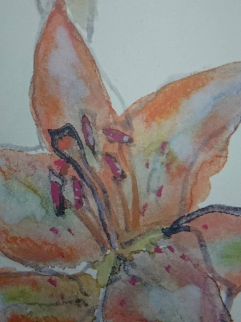 片岡 鶴太郎、【ゆり】、希少画集画、状態良好、四季、自然、新品額 額装付