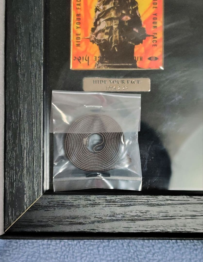 け*い様 hide 20th Anniversary Collection ピン