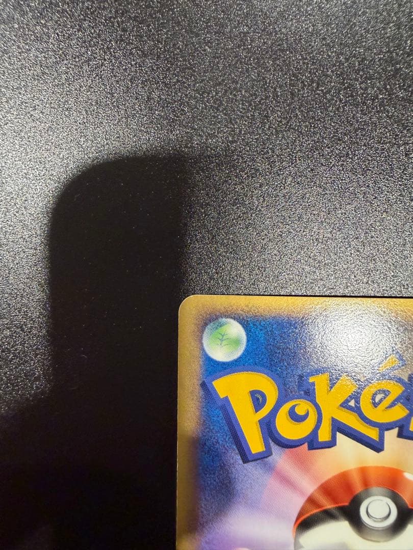 ポケパークのアチャモ