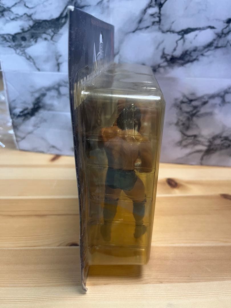 船木誠勝　鈴木みのる　フィギュア　パンクラス　プロレス　新日　キャラプロ