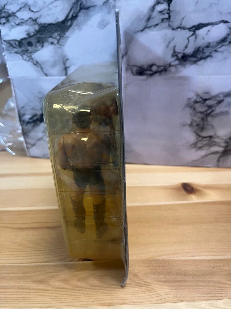 船木誠勝　鈴木みのる　フィギュア　パンクラス　プロレス　新日　キャラプロ