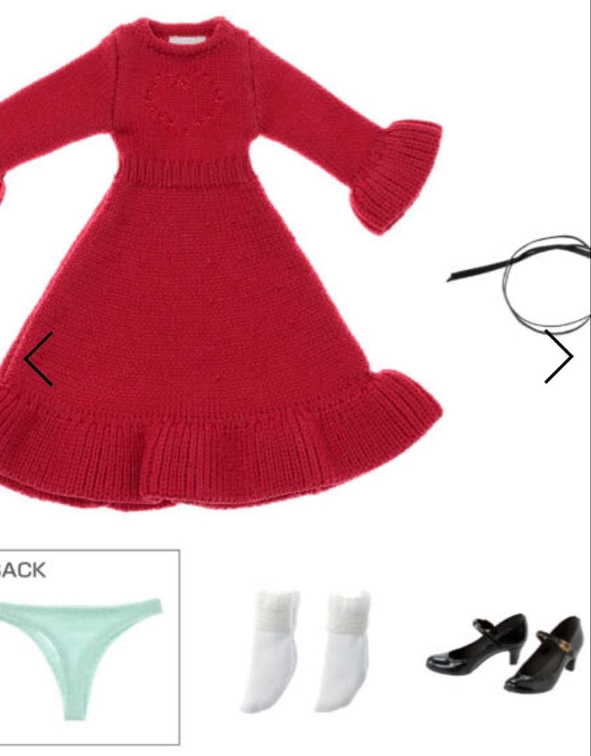 PetWORKS ペットワークス「CCS 26VDAY momoko」新品同様