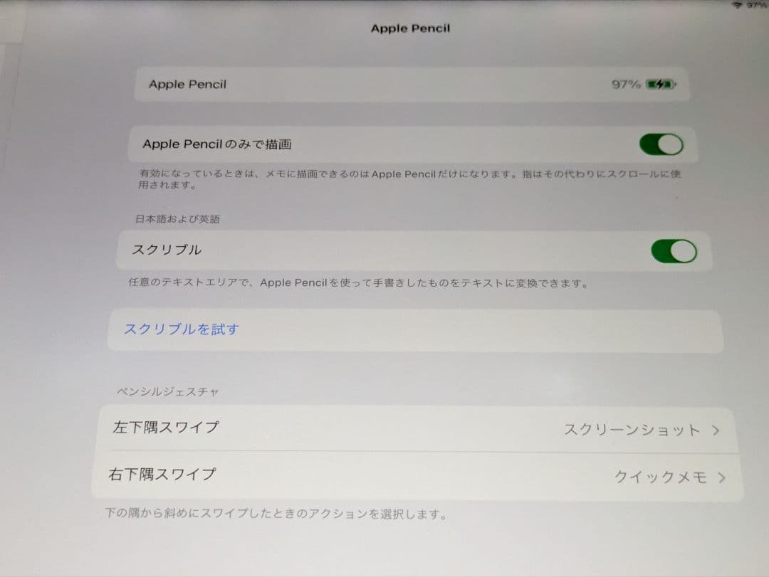 Apple Pencil ホワイト 充電アダプタ付属