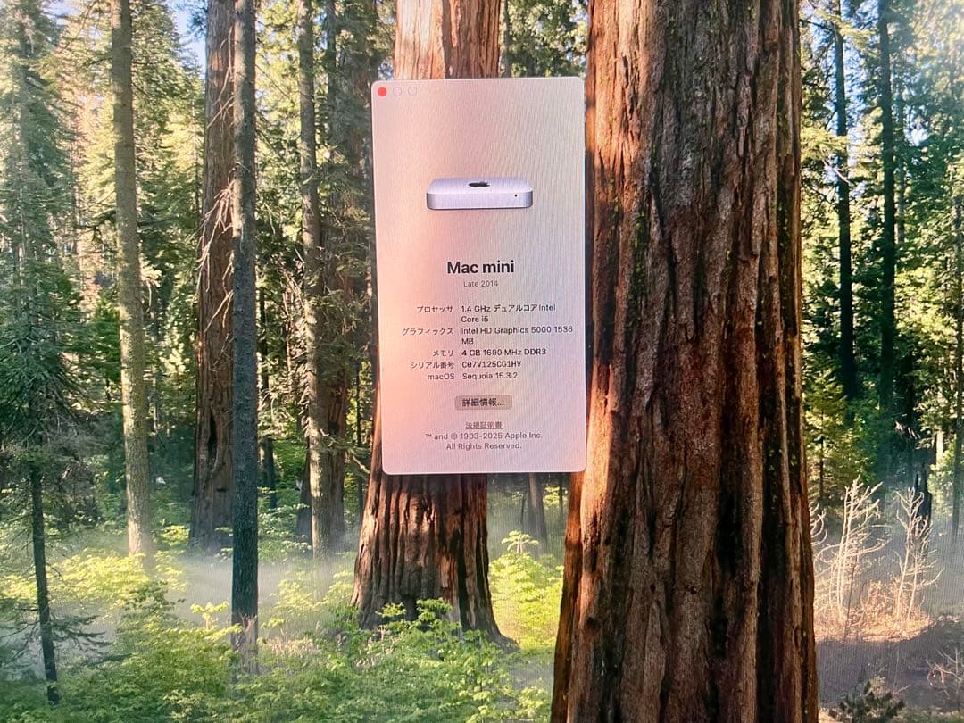 Apple Mac mini Late 2014 SSD換装 Sequoia