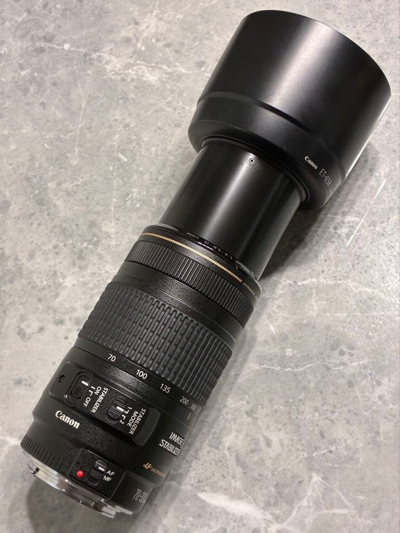 ⭐️極美品⭐️Canon EF70-300mm 4-5.6 IS USM 望遠レンズ