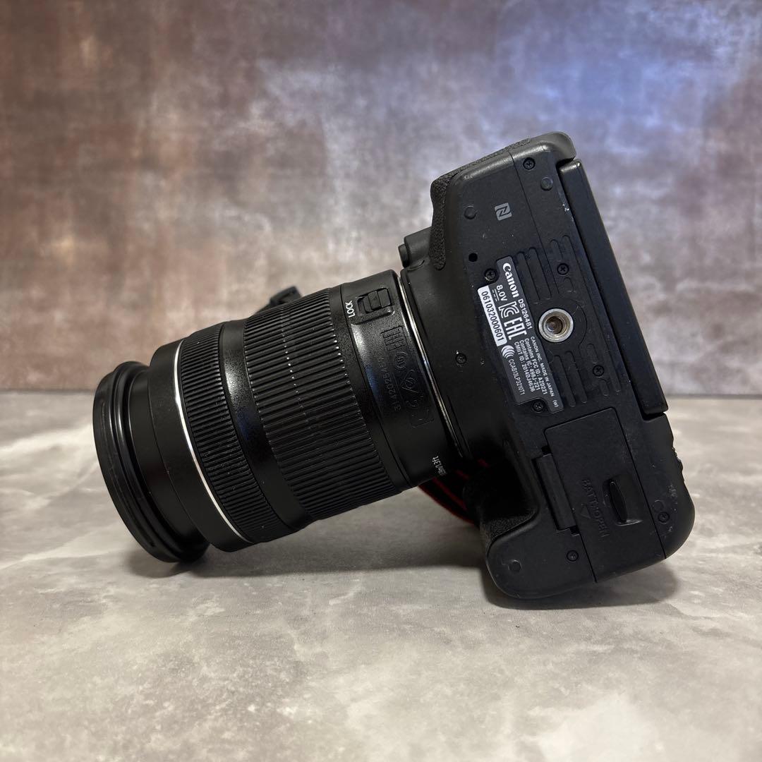 【極上・完動品】Canon 8000D EF18-135mm wifi機能あり