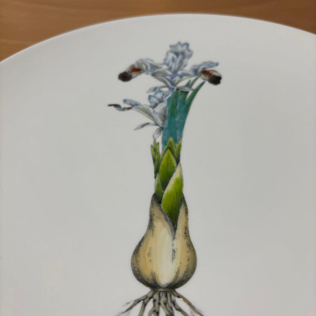 花と根のイラスト皿 直径25cm