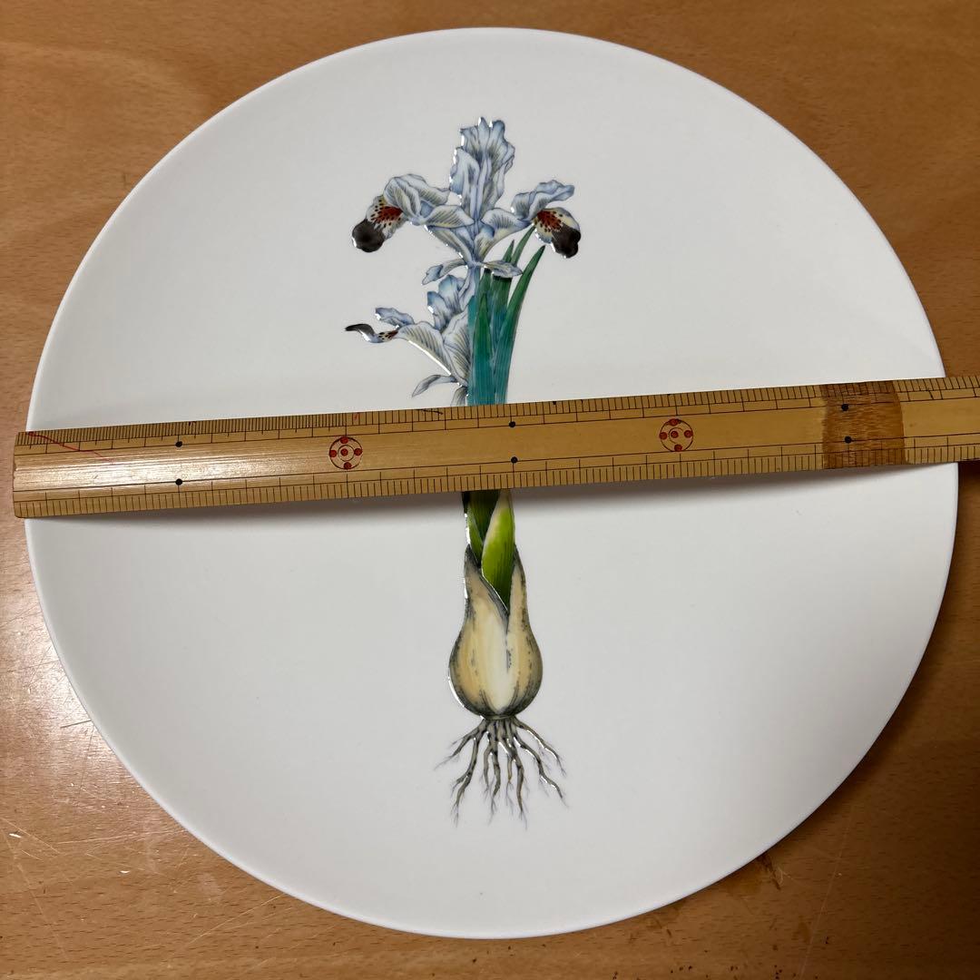 花と根のイラスト皿 直径25cm