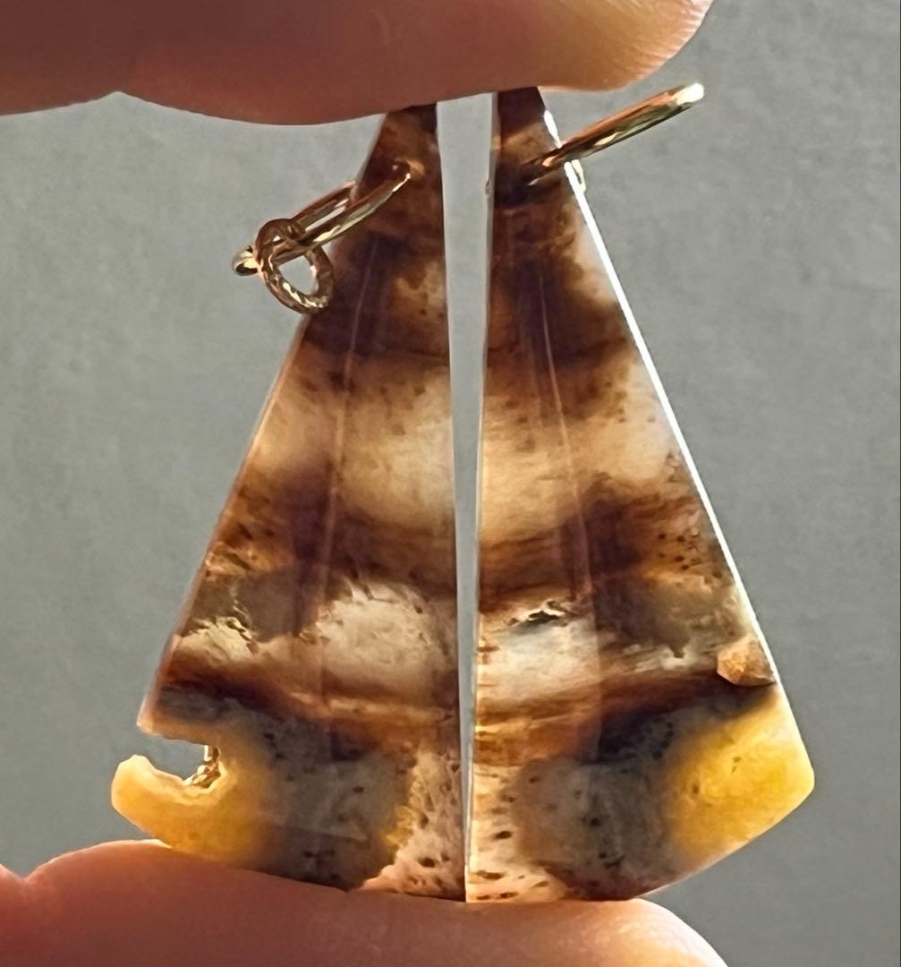 ＊14kgf 大粒ブラウンオパライズドウッド ピアス