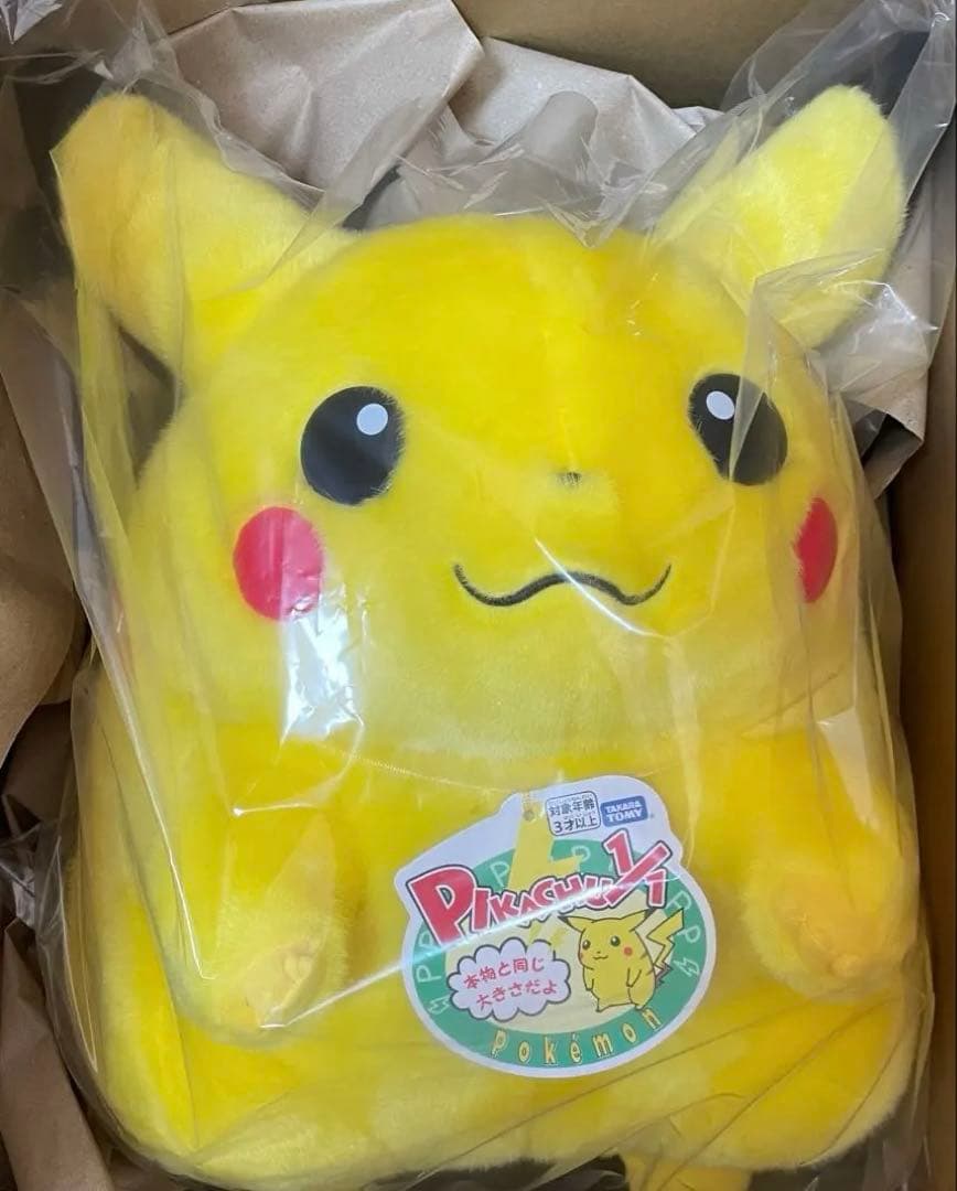 2点セット　おかえりピカチュウ　ピチュウピカチュウ