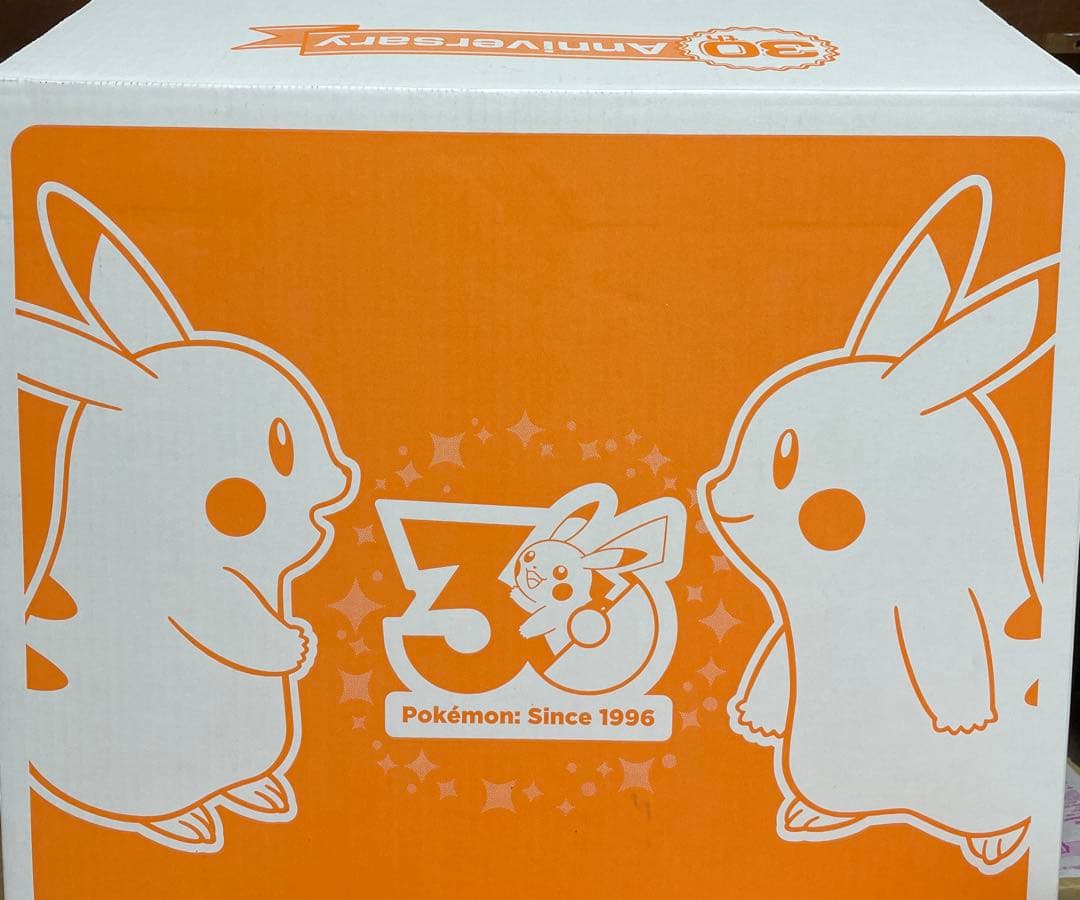 2点セット　おかえりピカチュウ　ピチュウピカチュウ