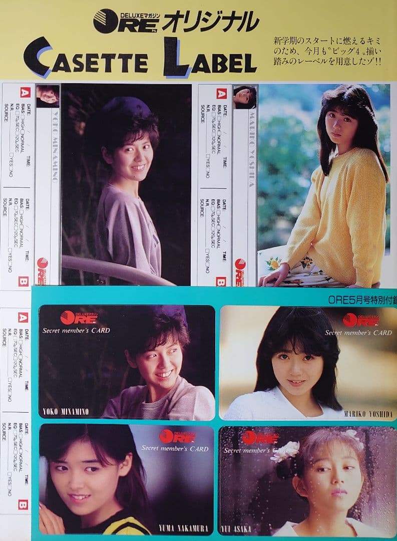 南野陽子　1986年〜1990年 大量　切り抜き　ファイル　2冊　120P