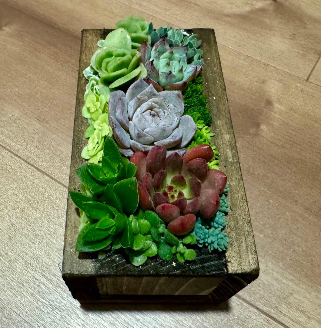 多肉植物 寄せ植え 木箱 アイスローズ ステンシル 木工 ちまちま寄せ