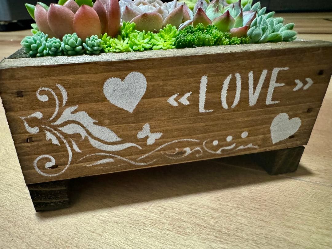 多肉植物 寄せ植え 木箱 アイスローズ ステンシル 木工 ちまちま寄せ