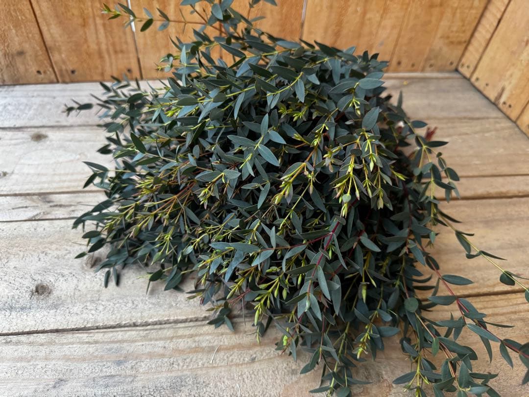 花＊花プロフ必読！お願いします様 リクエスト 2点 まとめ商品