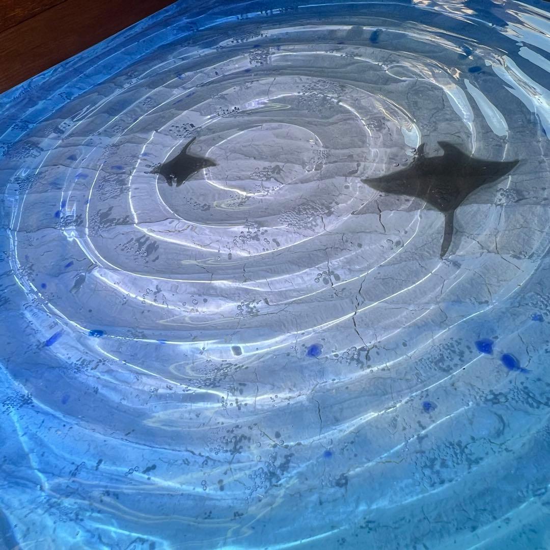【レジンアート】波紋アート／マンタの遊泳／15cmスクエア／枠なし ／壁掛け可