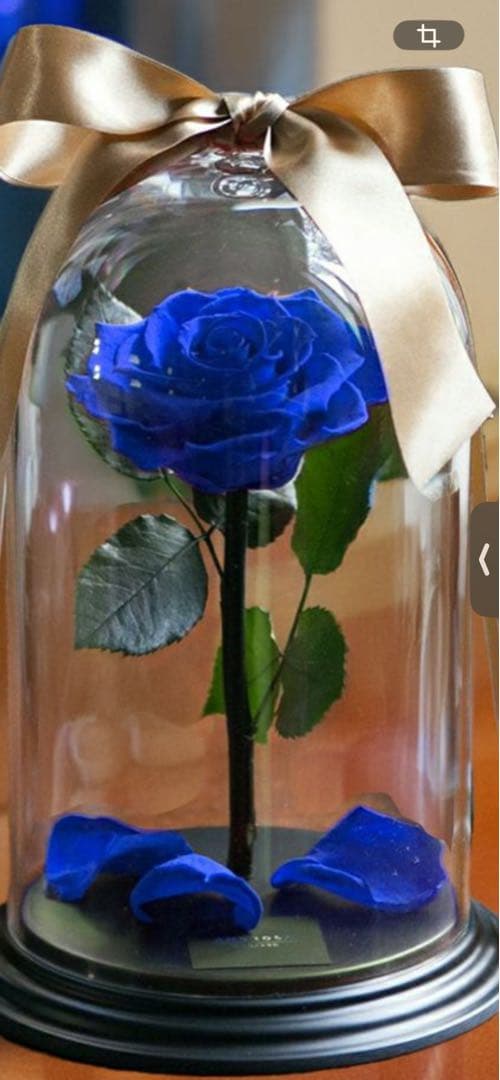 青いバラ プリザーブドフラワー クリアドーム　〜amorosa〜
