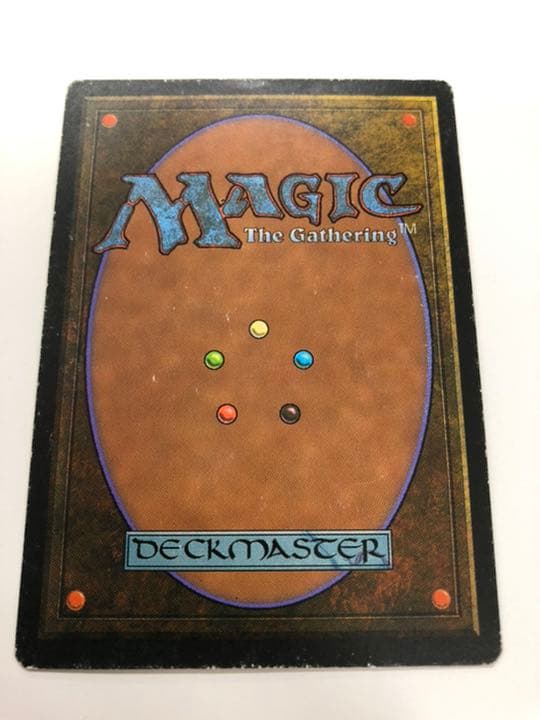 マジック：ザ・ギャザリング mtg Tropical 