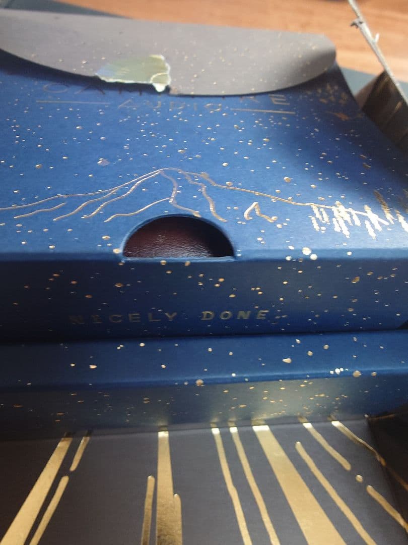 Campfire audio Solaris 筐体のみ美品