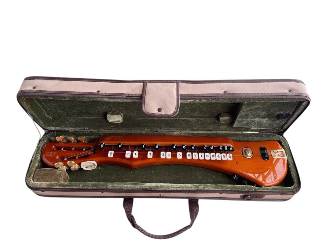 付属品多数　電気大正琴　スズキ　こはく　ソプラノ　ケース　アンプ　調律機付き