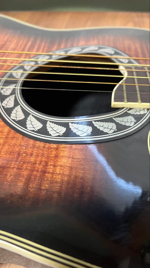 ギター Stafford&Co EST.1957 SE-350