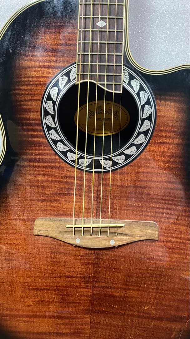 ギター Stafford&Co EST.1957 SE-350