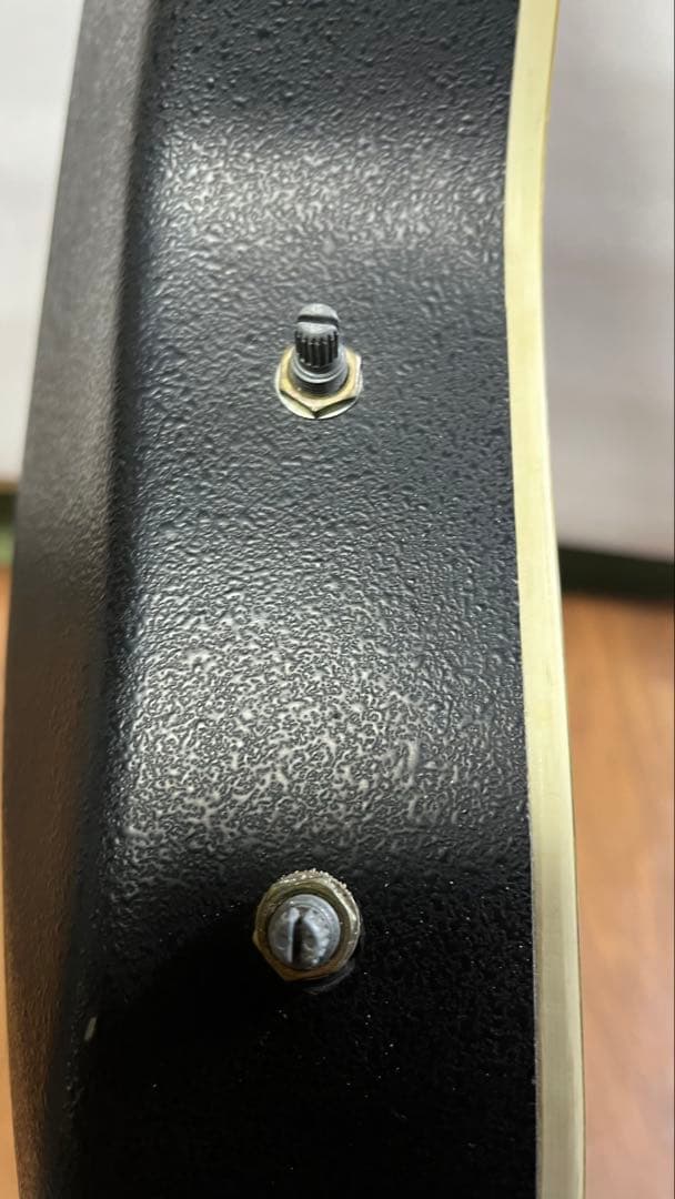 ギター Stafford&Co EST.1957 SE-350