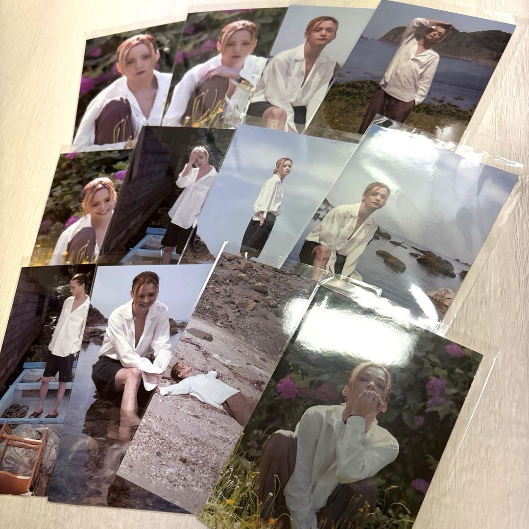 三浦涼介 ROSE MATE　ブロマイド 12枚セット