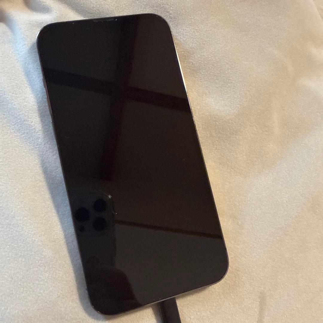 iphone13 Pro Max 本体