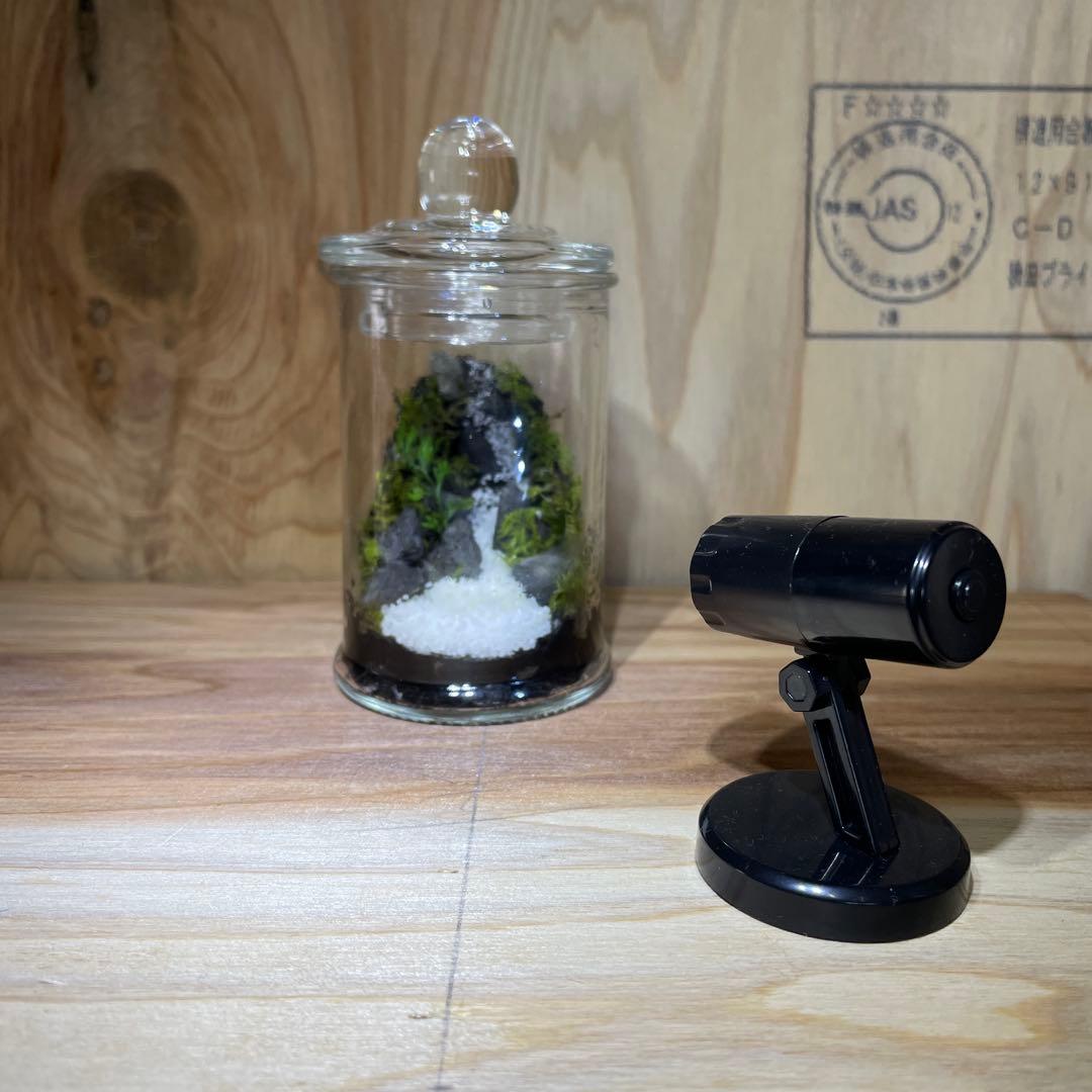 【2個セット】ミニ テラリウム LED付き レイアウト済み
