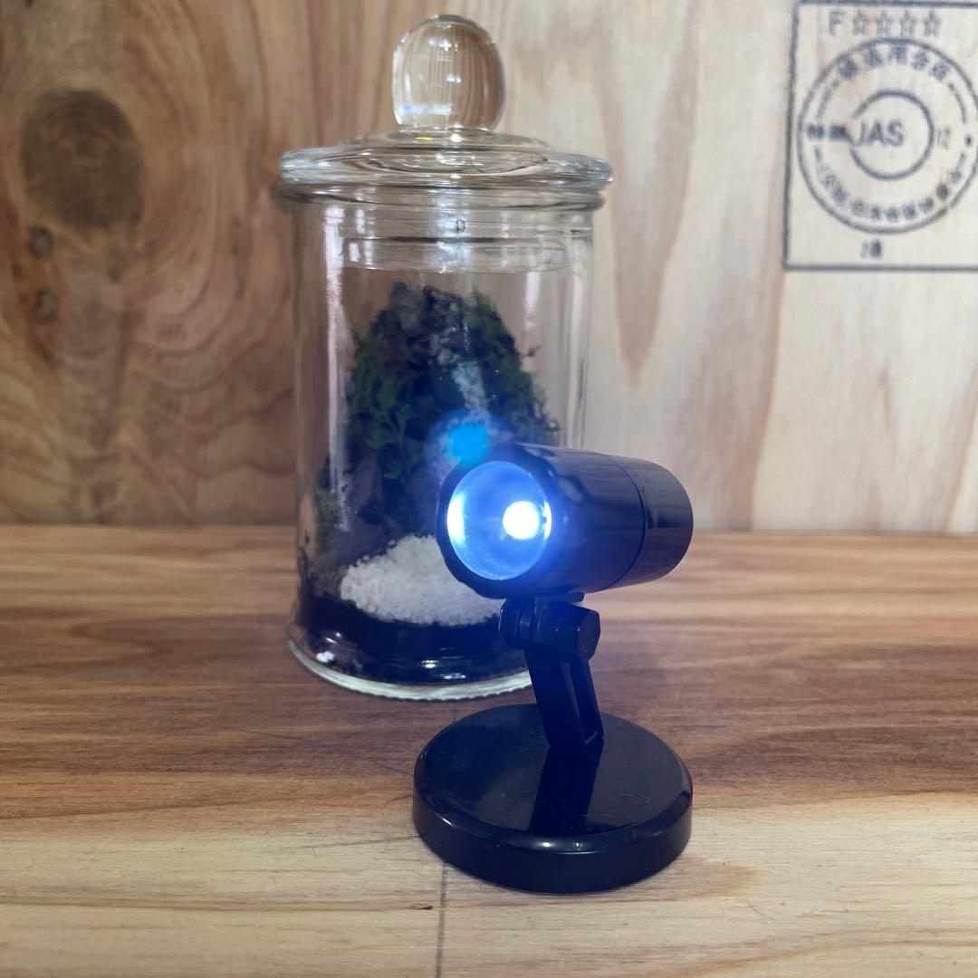 【2個セット】ミニ テラリウム LED付き レイアウト済み