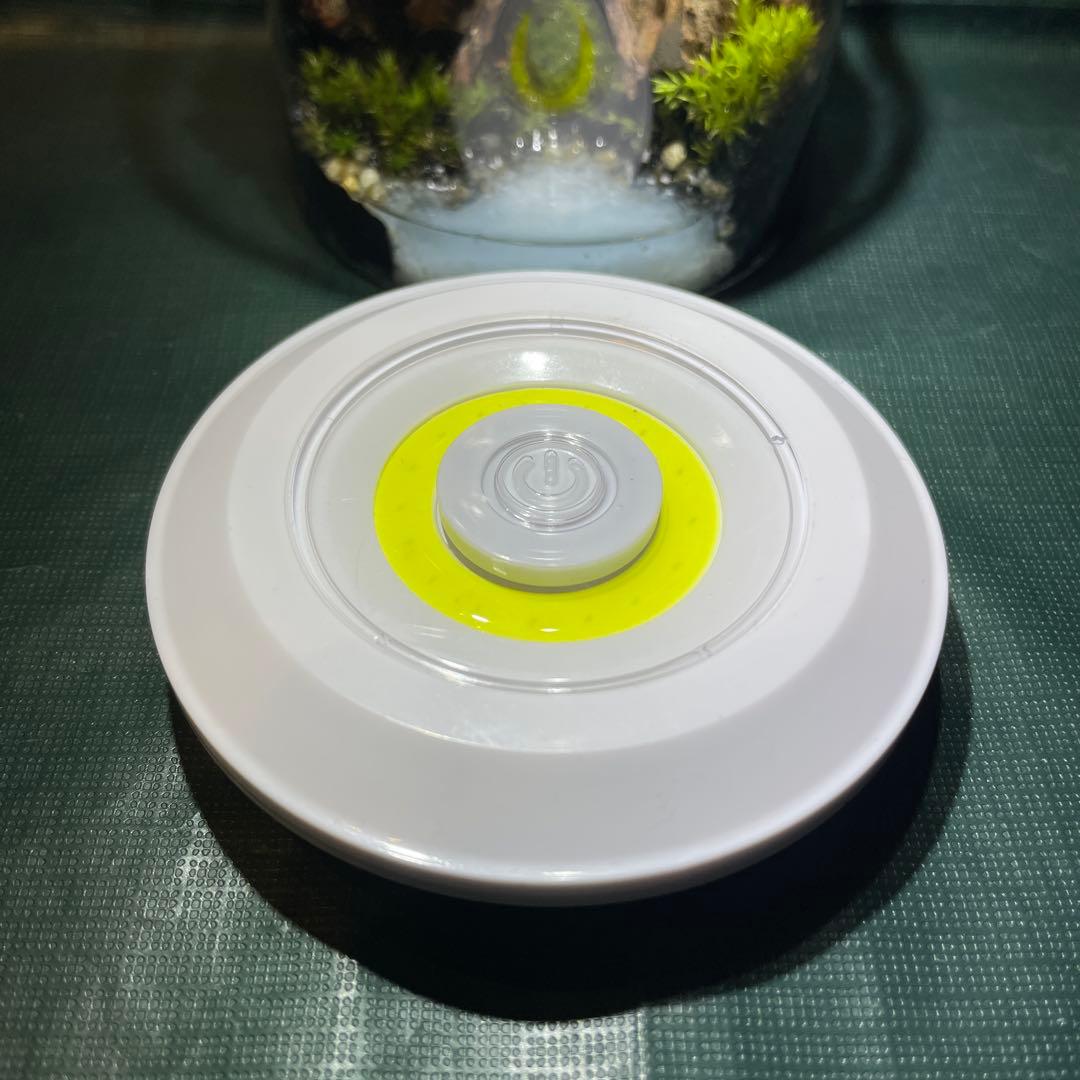 【2個セット】ミニ テラリウム LED付き レイアウト済み