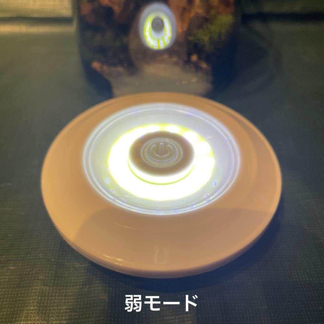 【2個セット】ミニ テラリウム LED付き レイアウト済み