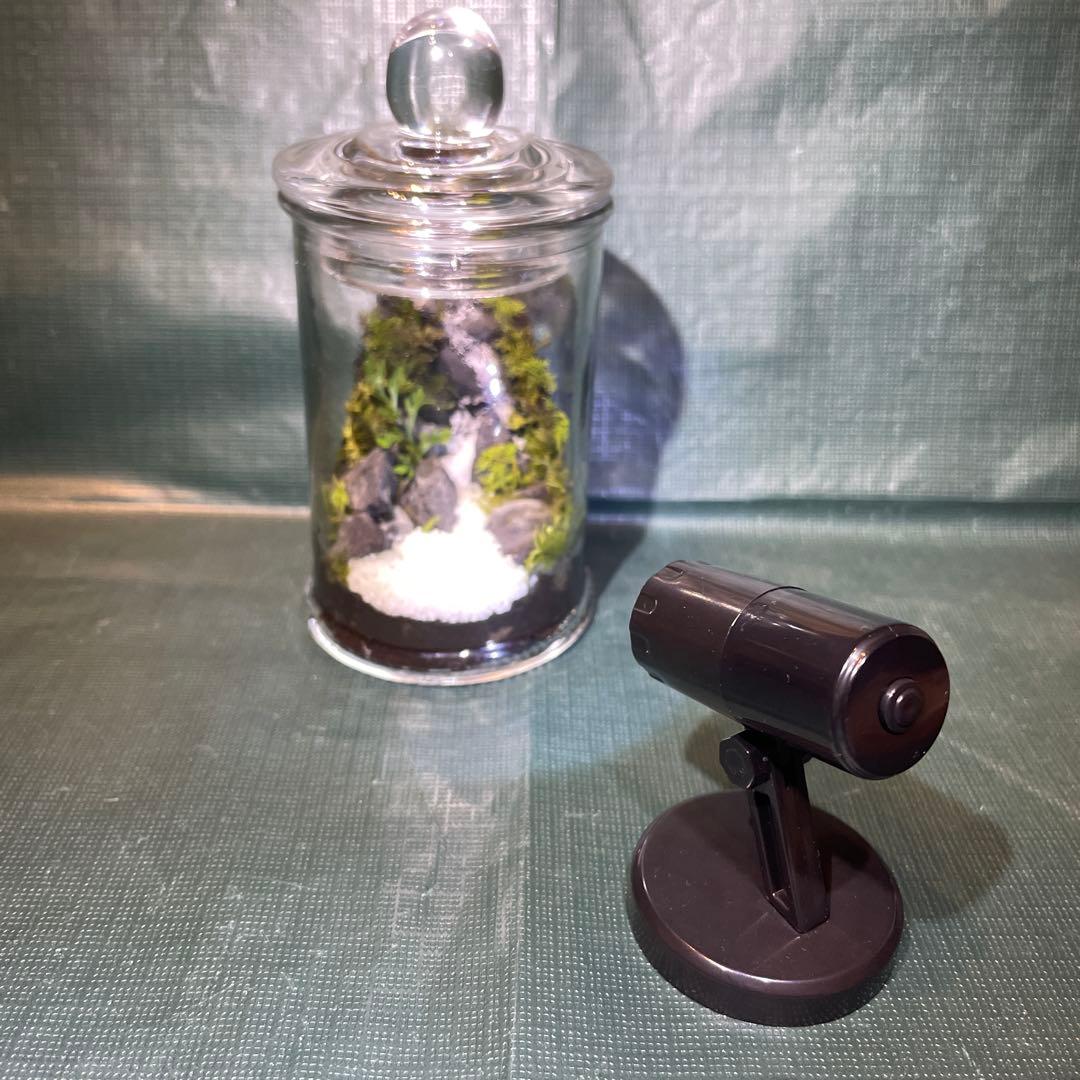 【2個セット】ミニ テラリウム LED付き レイアウト済み