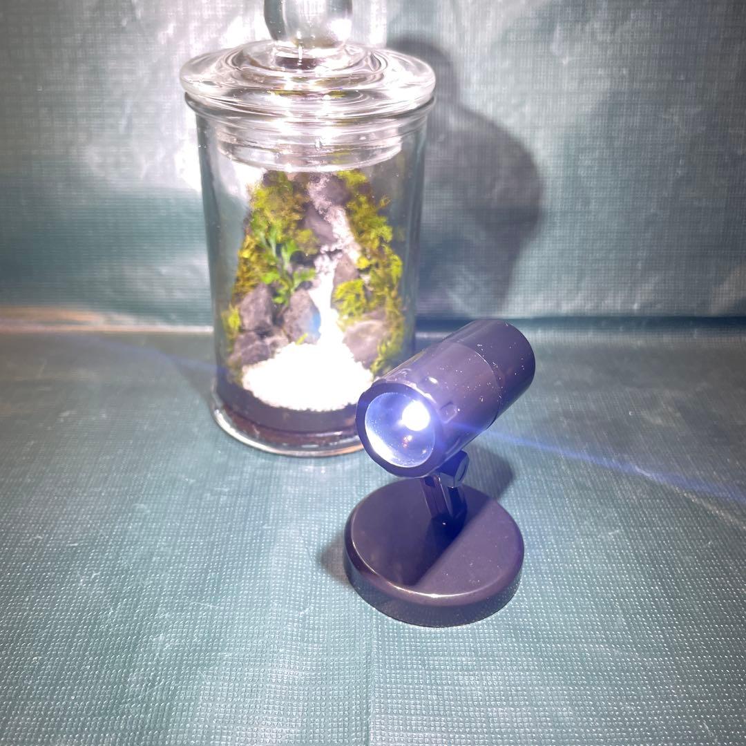 【2個セット】ミニ テラリウム LED付き レイアウト済み