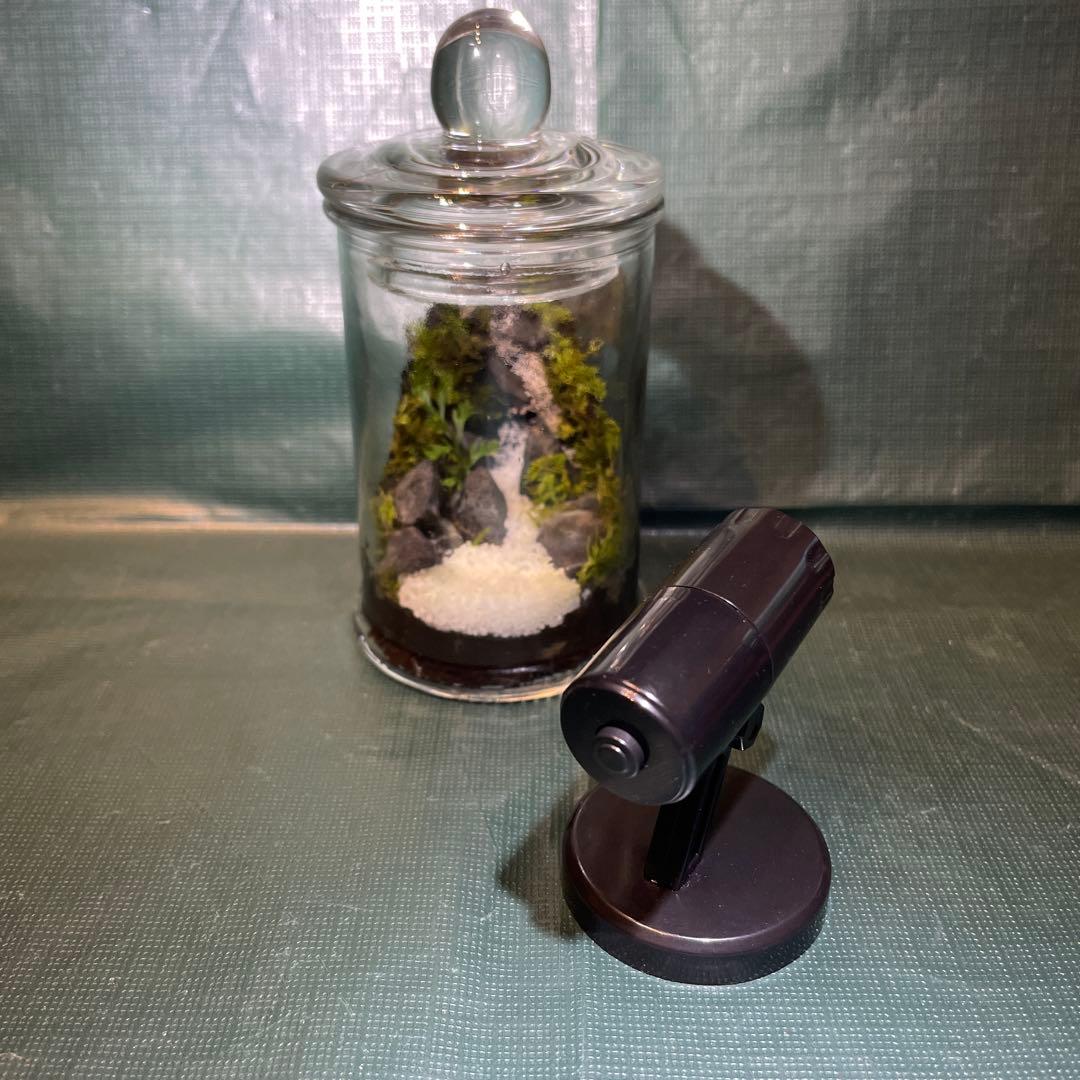 【2個セット】ミニ テラリウム LED付き レイアウト済み