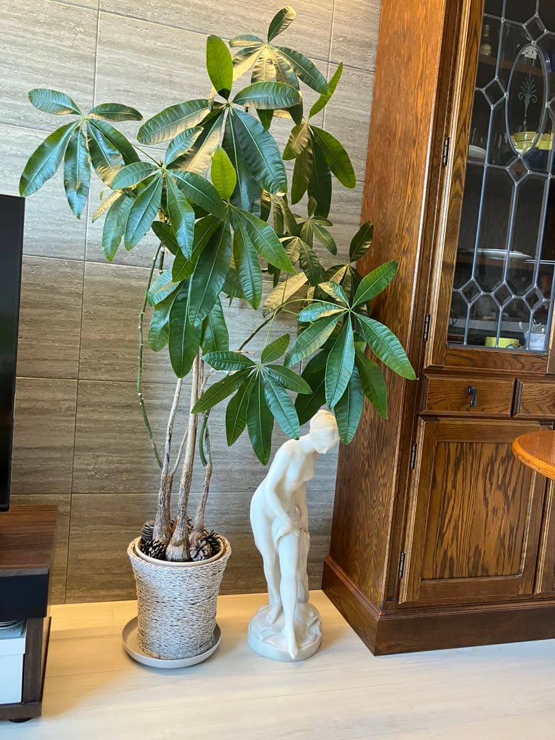 沐浴する女性 石膏彫刻 約60cm