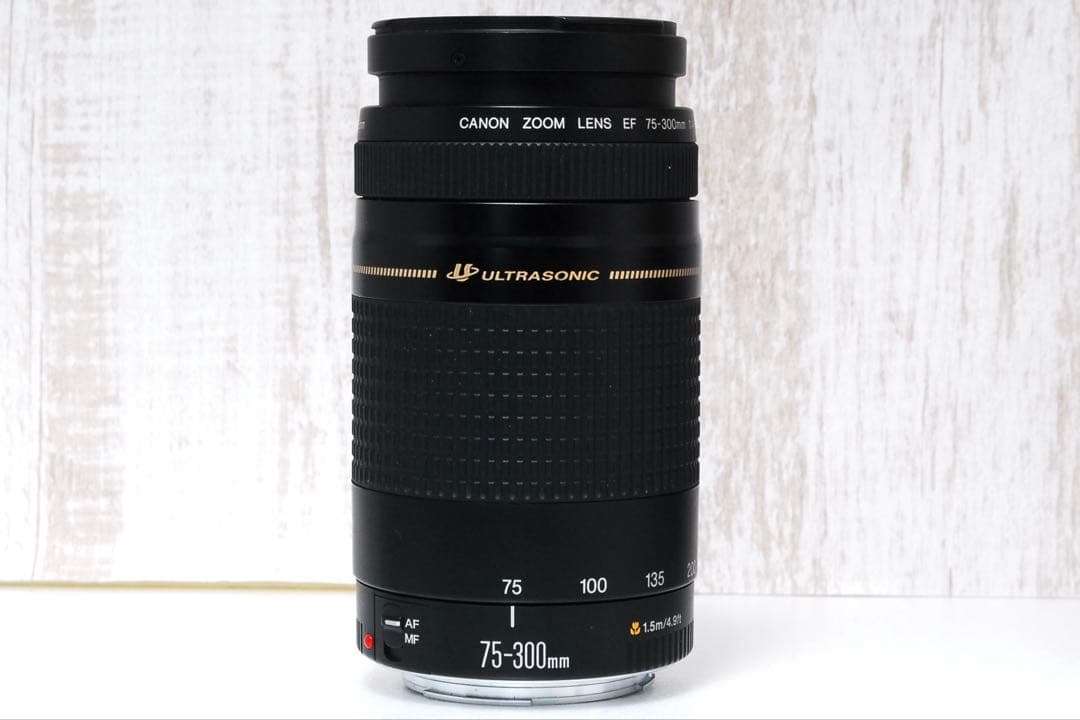 ❤️子供•運動会•スポーツ撮影に❤️ Canon EOS 9000D ダブルズーム