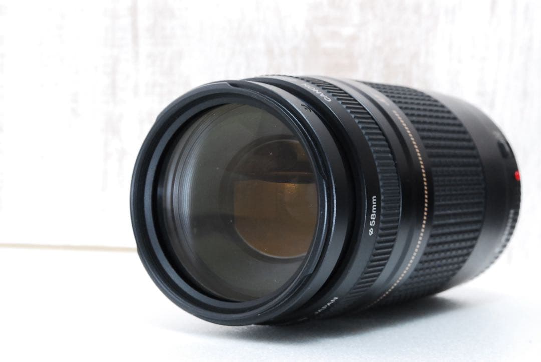 ❤️子供•運動会•スポーツ撮影に❤️ Canon EOS 9000D ダブルズーム