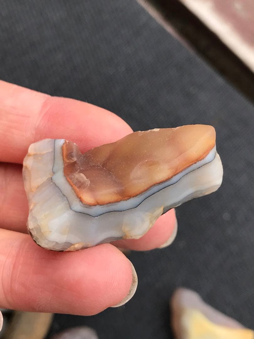 ゴビ石−1268 ゴビ瑪瑙　原石セット 大粒