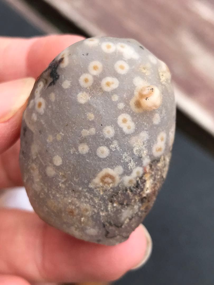 ゴビ石−1268 ゴビ瑪瑙　原石セット 大粒