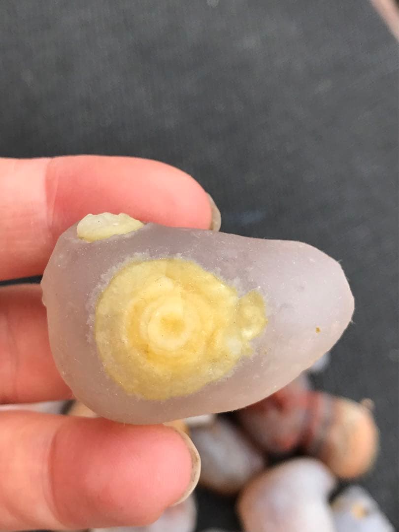 ゴビ石−1268 ゴビ瑪瑙　原石セット 大粒