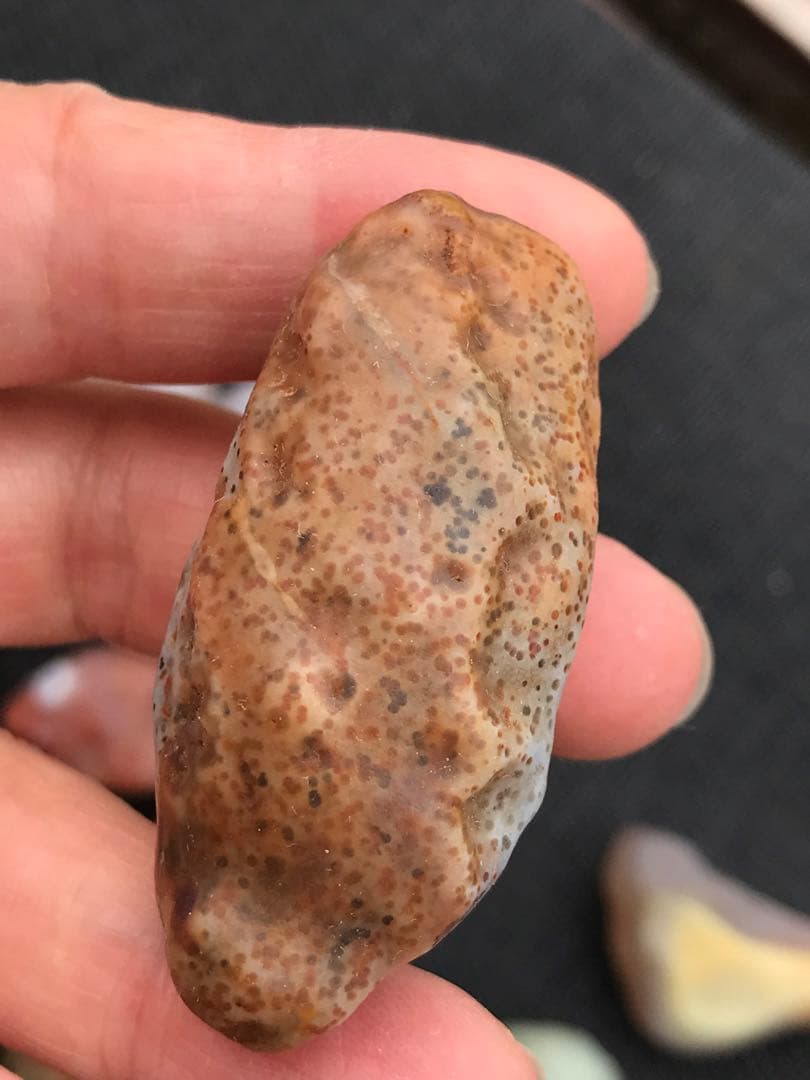 ゴビ石−1268 ゴビ瑪瑙　原石セット 大粒