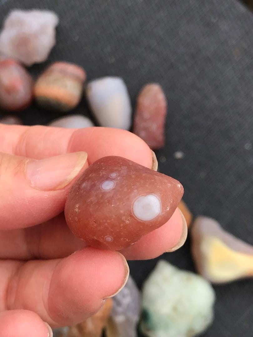ゴビ石−1268 ゴビ瑪瑙　原石セット 大粒
