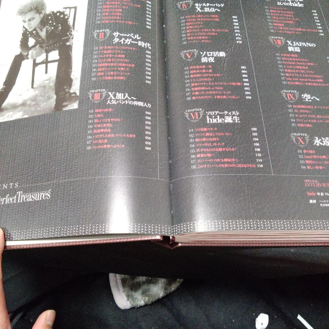 ミュージシャン hide Perfect Treasures