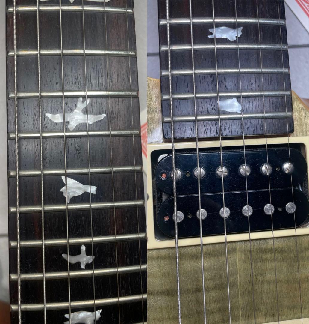 洋*平様 PRS SE custom24 Trampas Green